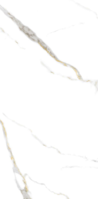 Livolla Safari 109 tiles 600 x 1200 mm