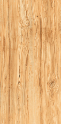 Livolla  extirio brown wood & matt 600 x 1200 mm