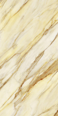 Livolla Safari 118 tiles 600 x 1200 mm