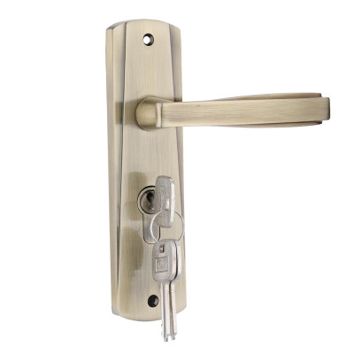 Godrej BM 06 Popular Door Handle Set
