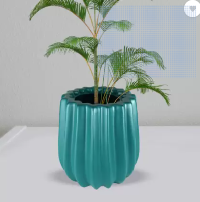 Evaan  Crown Planter