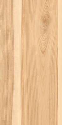 Livolla cosmic brown wood & matt 600 x 1200 mm