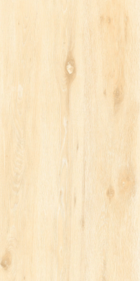 Livolla  forest wood beige wood & matt 600 x 1200 mm