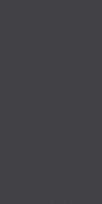 Sparkles Grey Path 1.25 mm 1920