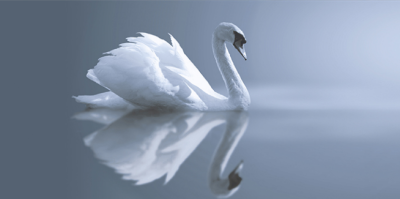 Livolla Dave poseter art 10 600 x 1200MM