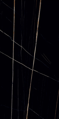 Livolla black beauty floor & wall tiles 600 x 1200 mm