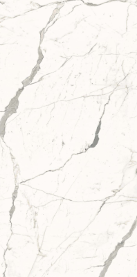 Livolla 6021 gloosy  floor & wall tiles 600 x 1200 mm