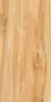 Livolla  bark brown wood & matt 600 x 1200 mm