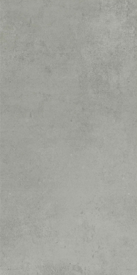 Livolla  clonic grey wood & matt 600 x 1200 mm