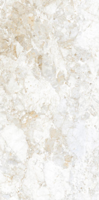 Livolla Glossy breccia natural tiles 600 x 1200 mm