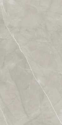 Livolla armani gris  floor & wall tiles 600 x 1200 mm