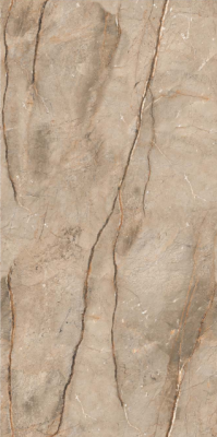 Livolla chorus brown floor & wall tiles 600 x 1200 mm