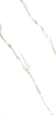 Livolla cola grey  floor & wall tiles 600 x 1200 mm