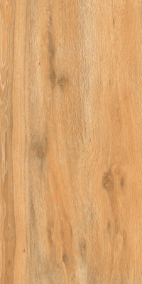 Livolla  forest wood brown wood & matt 600 x 1200 mm