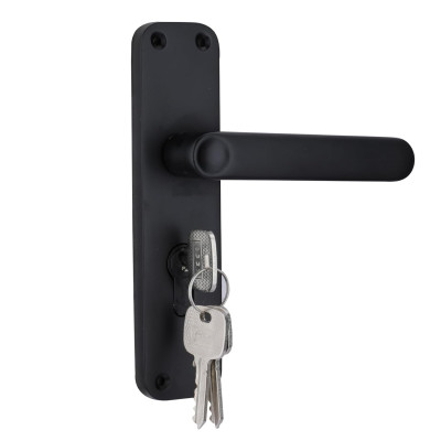 Godrej BM 09 Popular Door Handle Set