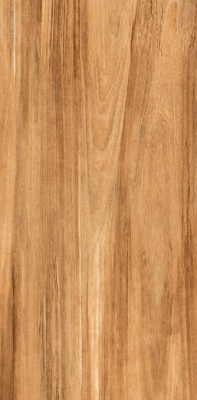 Livolla  acero brown wood & matt 600 x 1200 mm