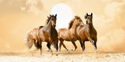 Livolla Run horses art frame 04 600 x 1200MM