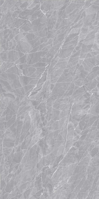 Livolla ortiga grey floor & wall tiles 600 x 1200 mm